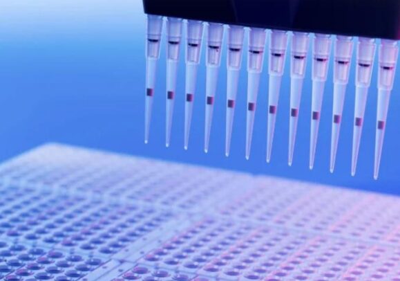 In Vitro ADME Assays: Techniques and Best Practices