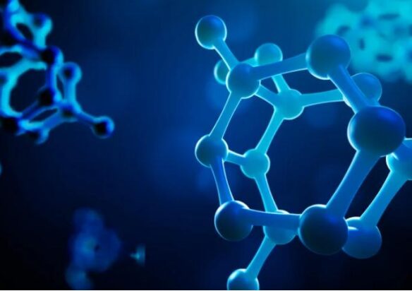 Transporter Interaction Studies